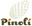logo of Pinoli premium pine nuts - New Zealand grown – Pinoli Pine Nuts