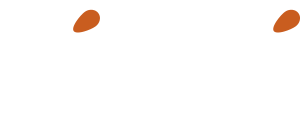 Pinoli premium pine nuts - New Zealand grown – Pinoli Pine Nuts